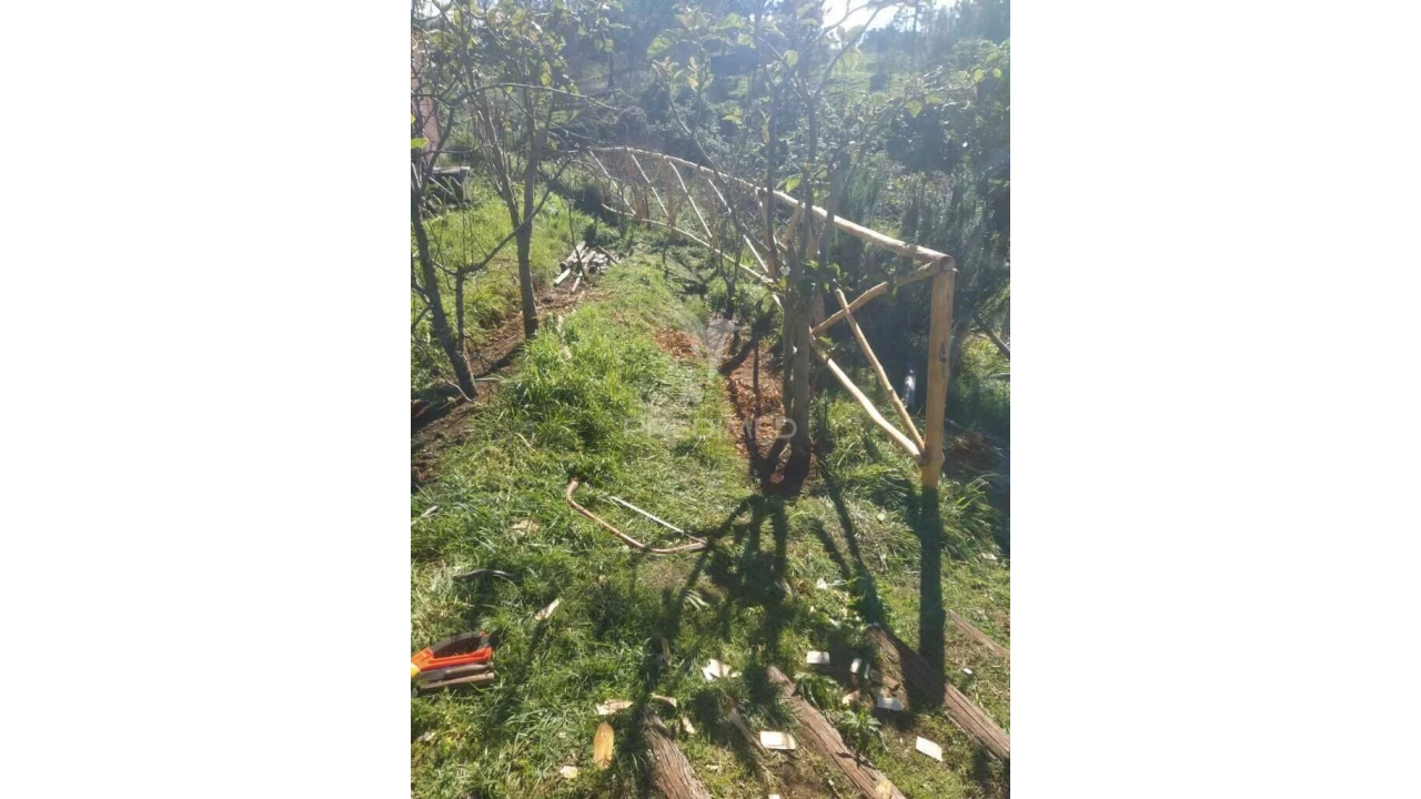 Terreno para Venda em Achadas da Cruz Foto 9