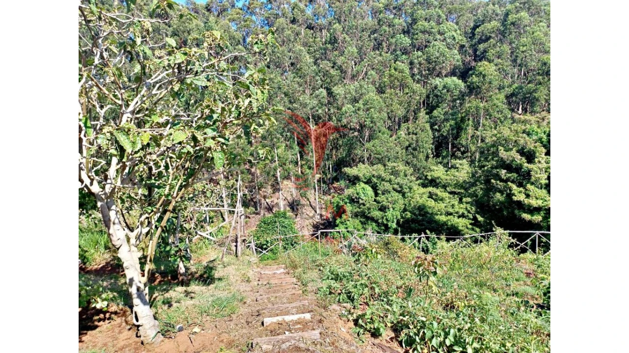 Terreno para Venda em Achadas da Cruz Foto 14