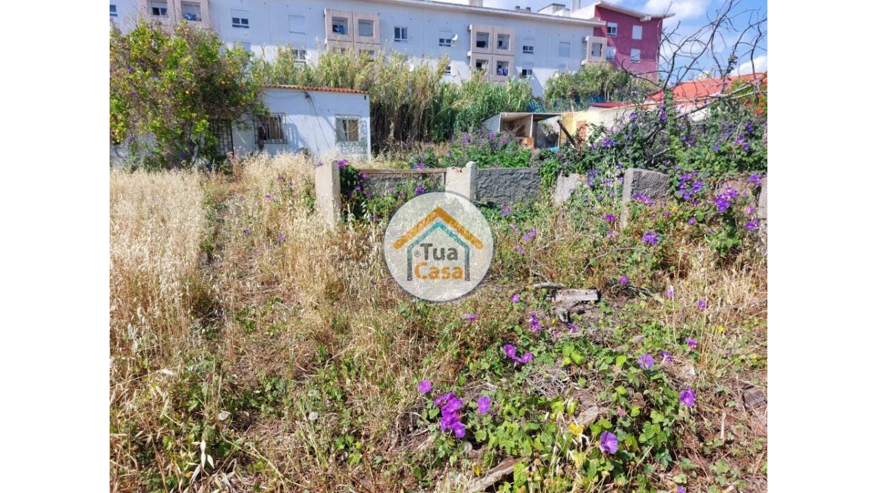 Terreno para Venda em Ajuda Foto 11