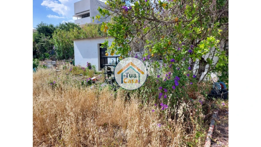 Terreno para Venda em Ajuda Foto 3