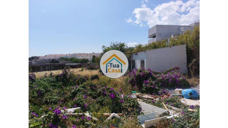 Terreno para Venda em Ajuda Foto 10