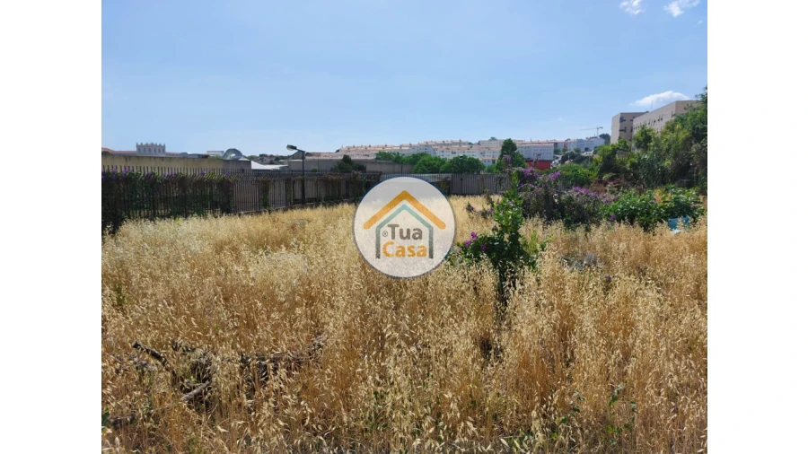 Terreno para Venda em Ajuda Foto 2