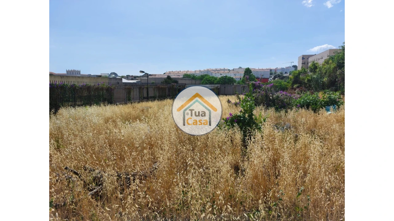Terreno para Venda em Ajuda Foto 2