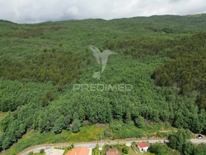 Terreno para Venda em Cavez Foto 3