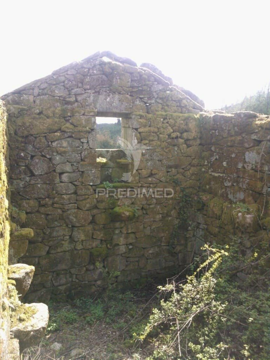 Terreno para Venda em Cavez Foto 8