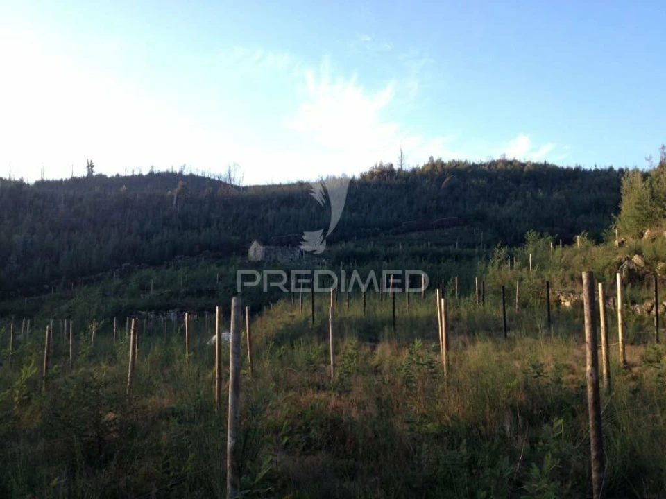 Terreno para Venda em Cavez Foto 9