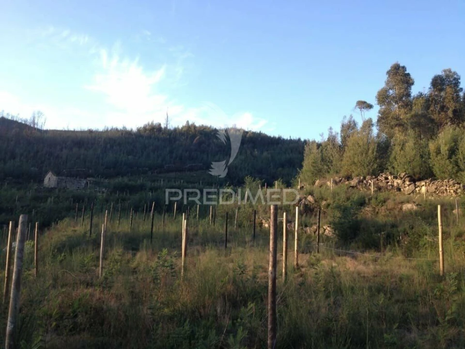 Terreno para Venda em Cavez Foto 10