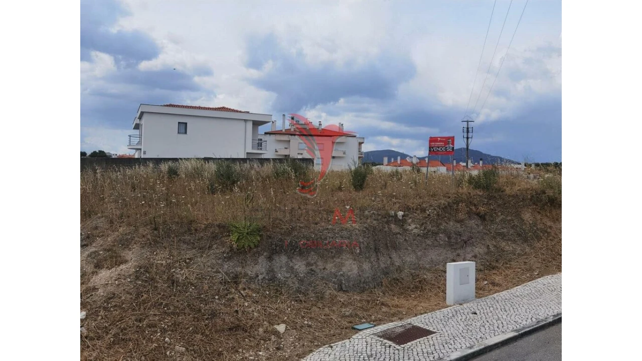 Terreno para Venda em Alcanena e Vila Moreira Foto 9