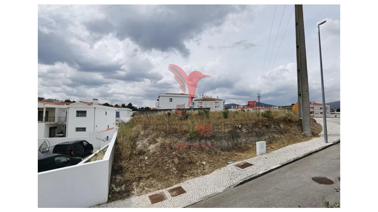 Terreno para Venda em Alcanena e Vila Moreira Foto 8