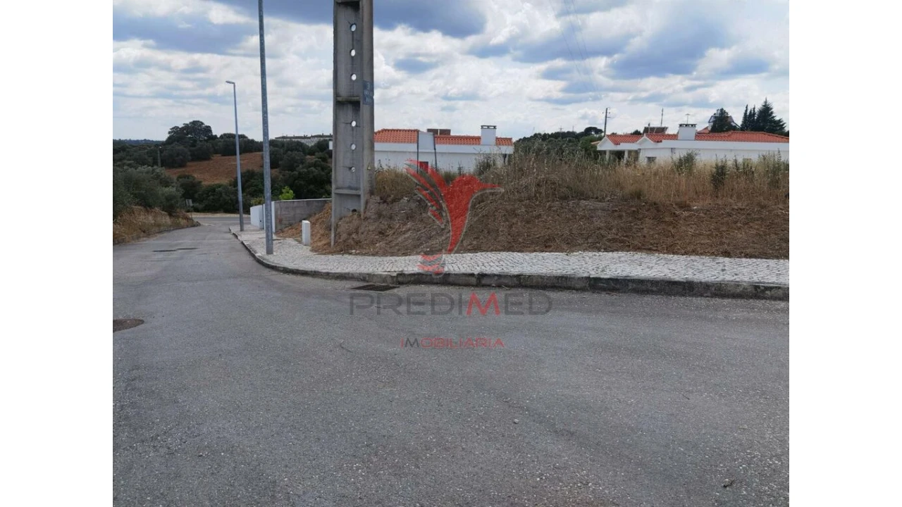 Terreno para Venda em Alcanena e Vila Moreira Foto 10