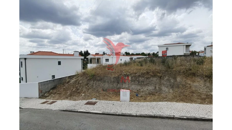 Terreno para Venda em Alcanena e Vila Moreira Foto 7