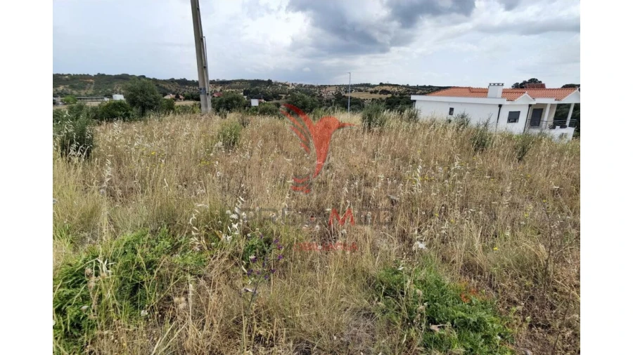 Terreno para Venda em Alcanena e Vila Moreira Foto 12