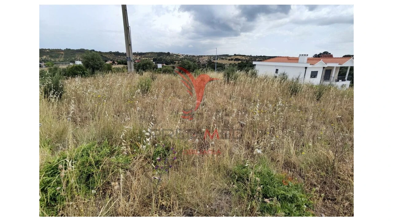 Terreno para Venda em Alcanena e Vila Moreira Foto 12