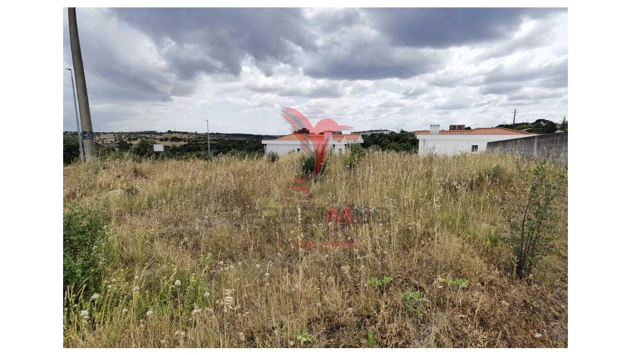 Terreno para Venda em Alcanena e Vila Moreira Foto 11