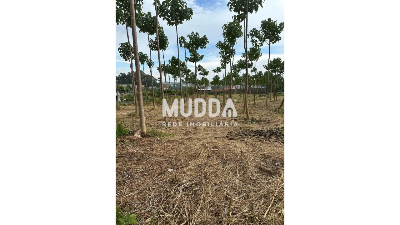Terreno para Venda em Argoncilhe Foto 2