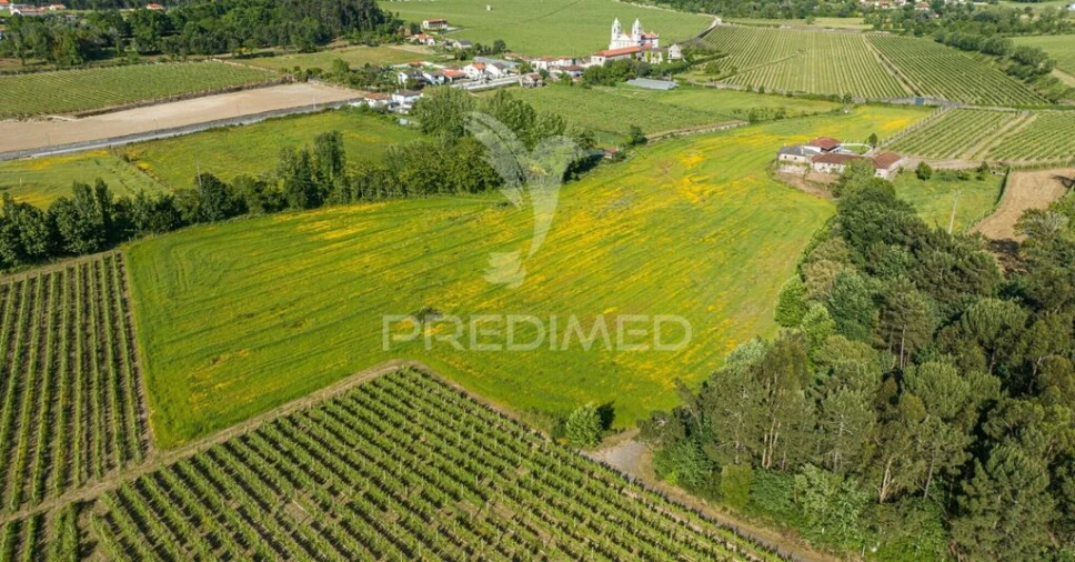 Quinta para Venda em Rendufe Foto 2