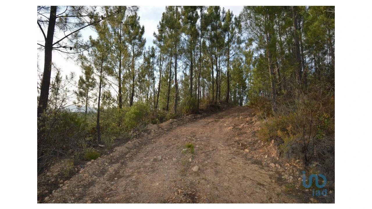 Terreno para Venda em Sertã Foto 5