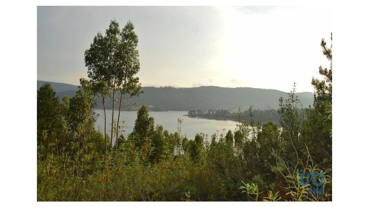 Terreno para Venda em Sertã Foto 6