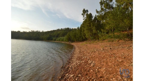Terreno para Venda em Sertã