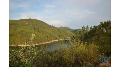 Terreno para Venda em Sertã