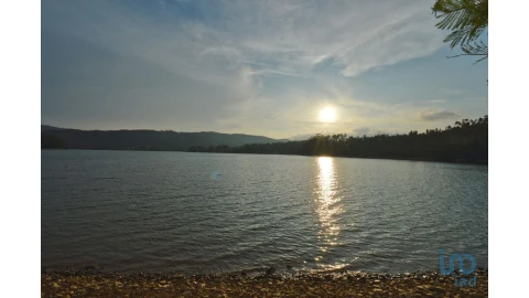 Terreno para Venda em Sertã