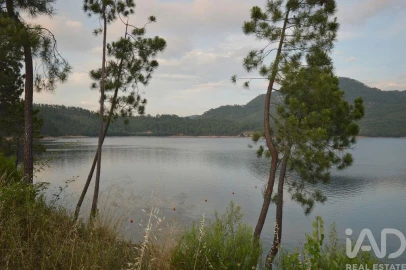 Terreno para Venda em Sertã