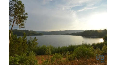Terreno para Venda em Sertã