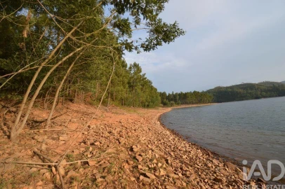 Terreno para Venda em Sertã