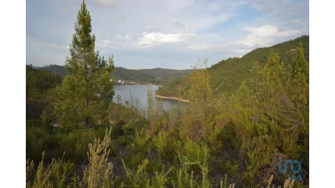 Terreno para Venda em Sertã