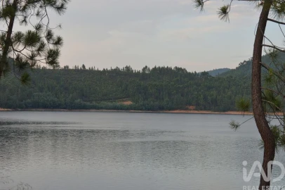 Terreno para Venda em Sertã