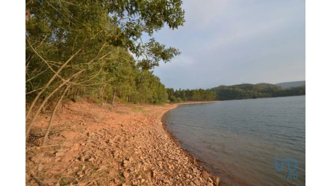 Terreno para Venda em Sertã