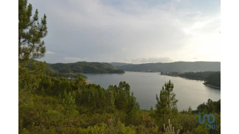 Terreno para Venda em Sertã