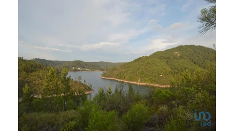 Terreno para Venda em Sertã