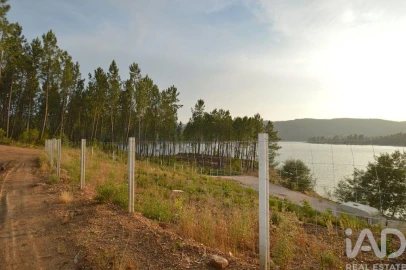 Terreno para Venda em Sertã