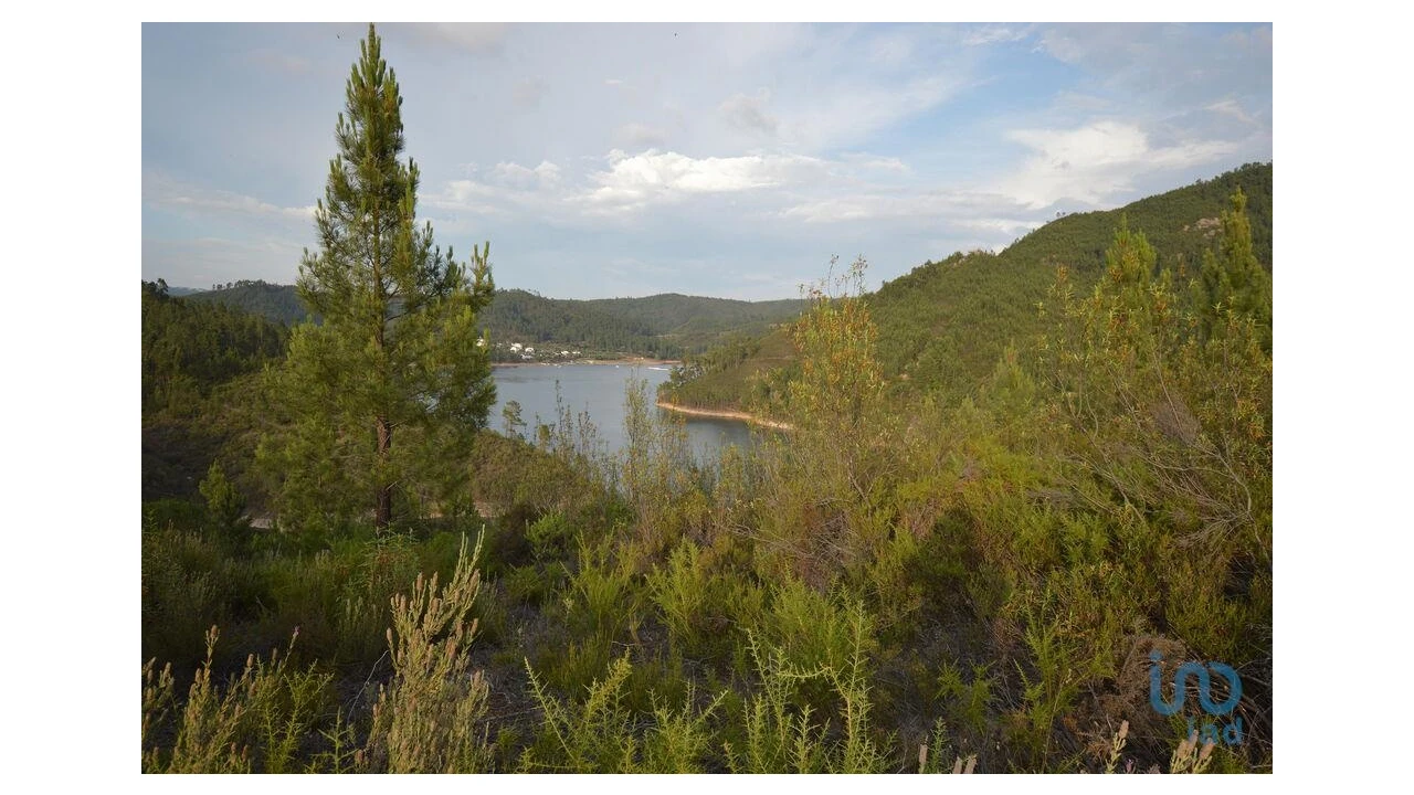 Terreno para Venda em Sertã Foto 2