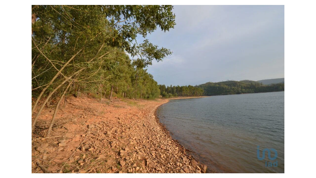 Terreno para Venda em Sertã Foto 12