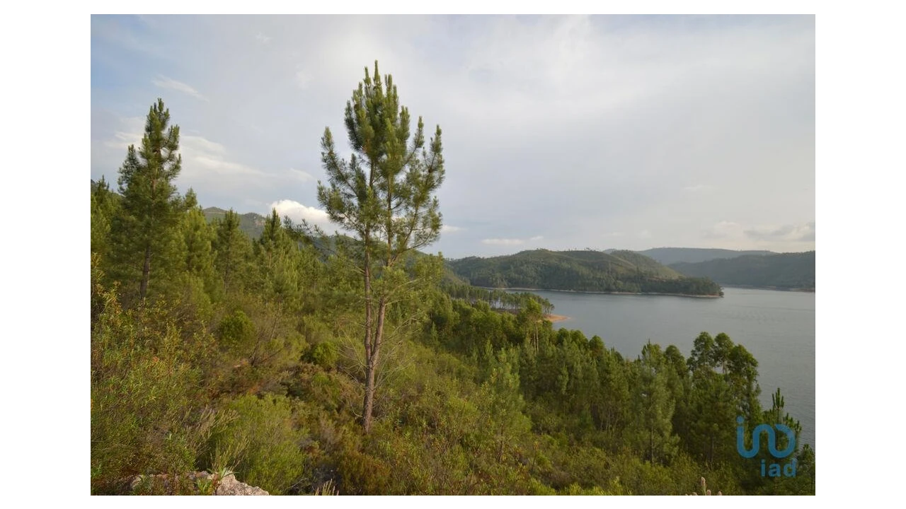 Terreno para Venda em Sertã Foto 4
