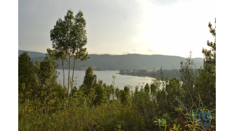 Terreno para Venda em Sertã Foto 6