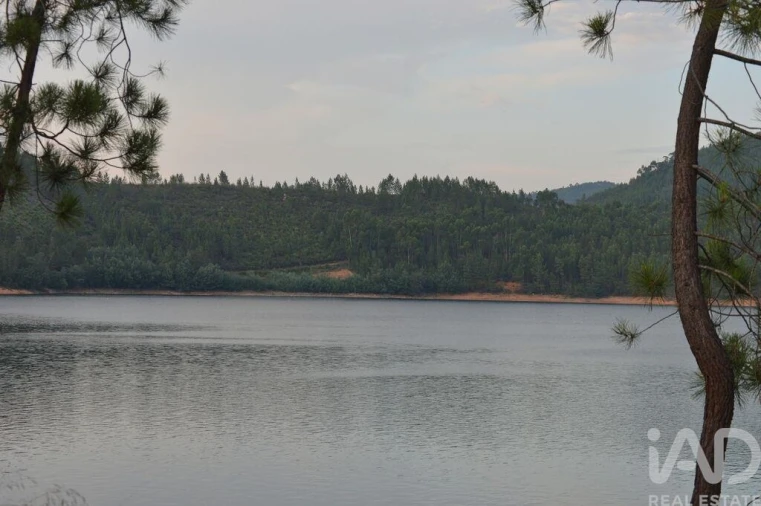 Terreno para Venda em Sertã Foto 23