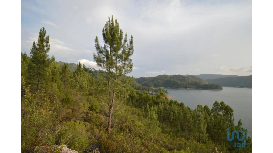Terreno para Venda em Sertã Foto 4