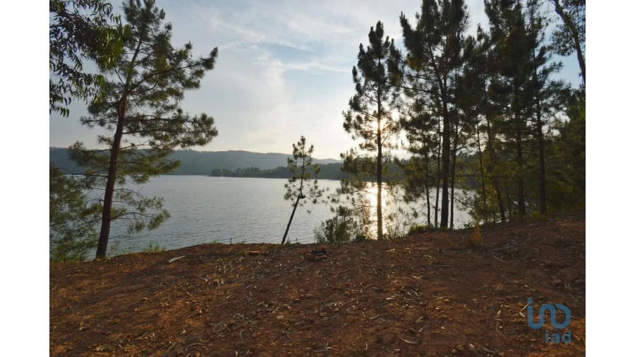 Terreno para Venda em Sertã Foto 9