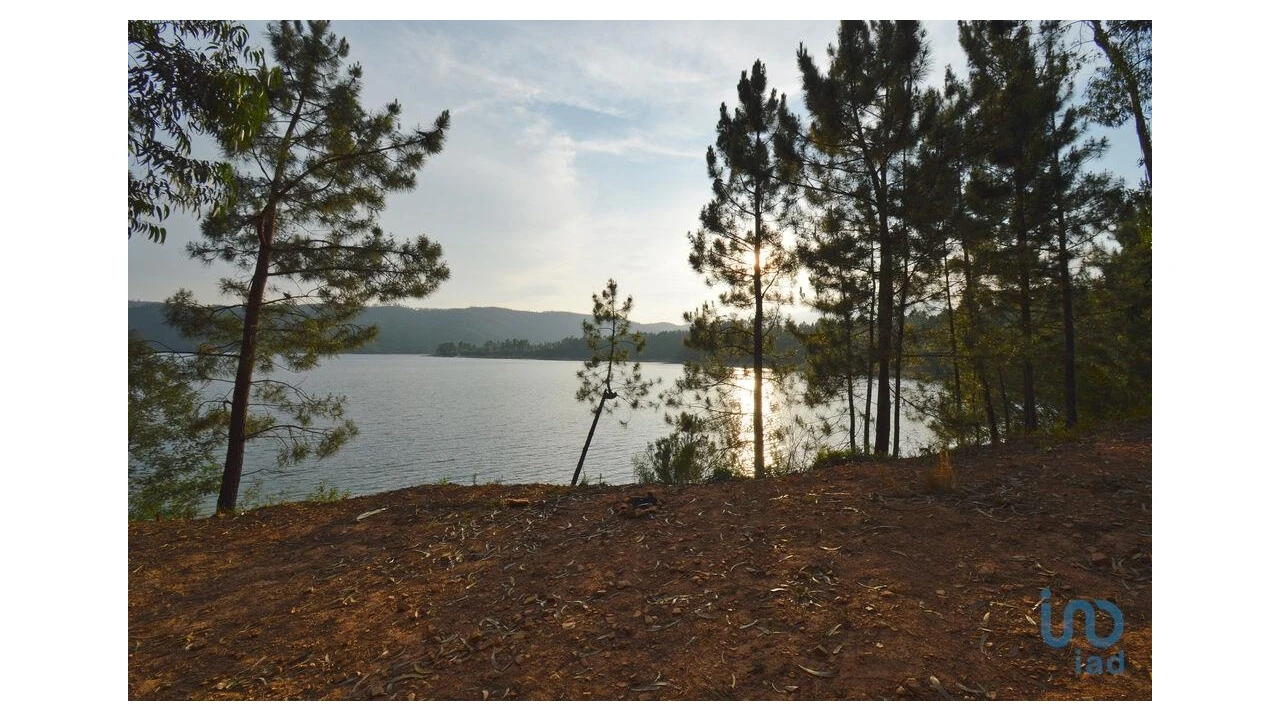 Terreno para Venda em Sertã Foto 9
