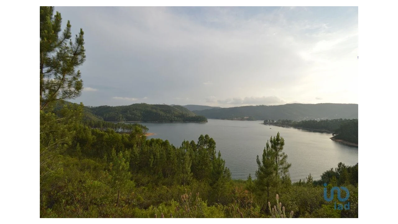 Terreno para Venda em Sertã Foto 3