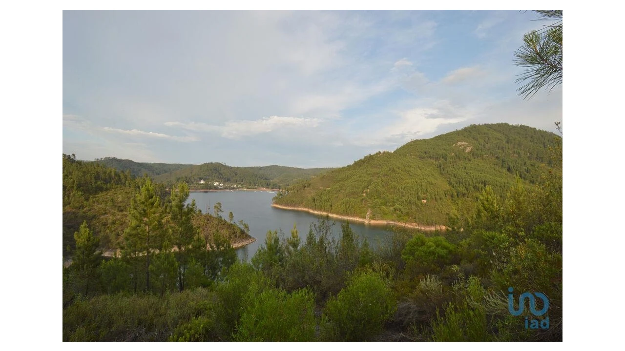 Terreno para Venda em Sertã Foto 1