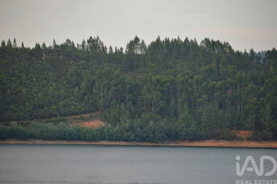 Terreno para Venda em Sertã Foto 24