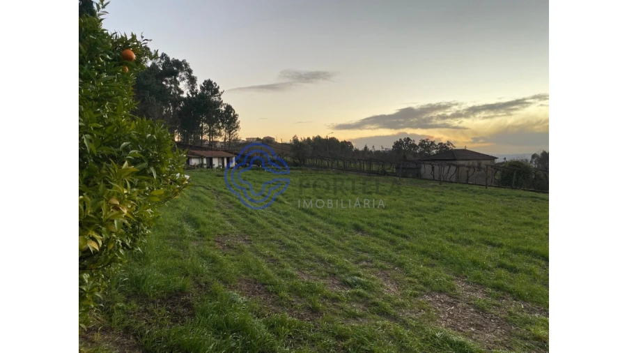 Quinta T5 para Venda em Vila Cova da Lixa e Borba de Godim Foto 56