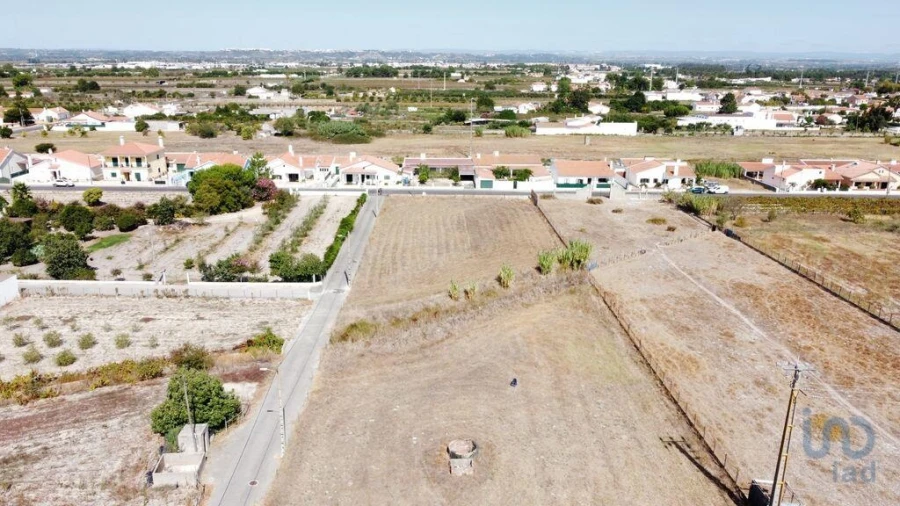Terreno para Venda em Fazendas de Almeirim Foto 5