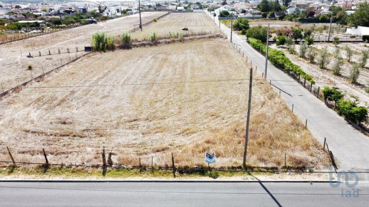 Terreno para Venda em Fazendas de Almeirim Foto 4