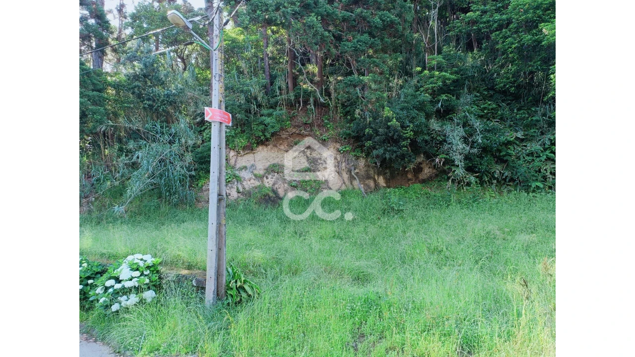 Terreno para Venda em Porto Formoso Foto 10