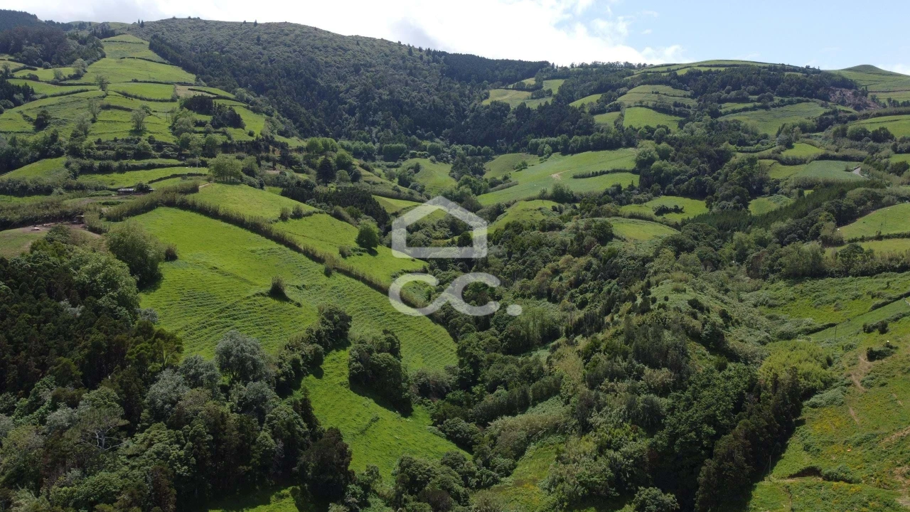 Terreno para Venda em Porto Formoso Foto 8